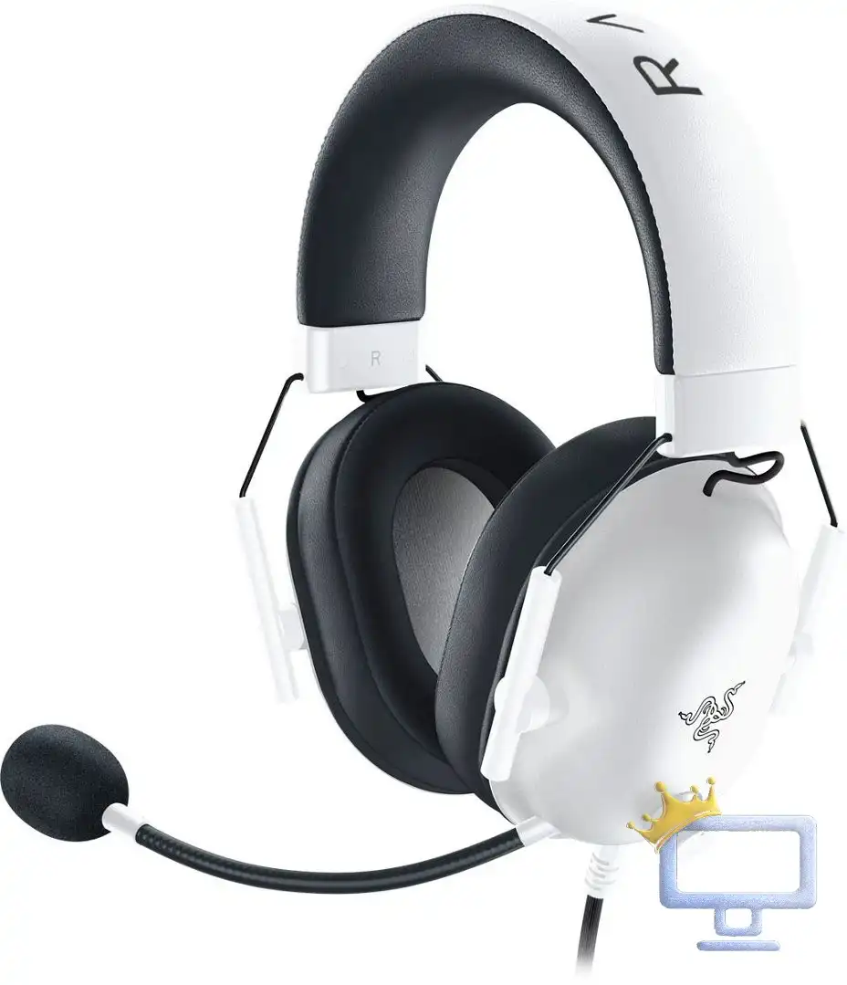 Razer BlackShark V2 Gaming Headphone